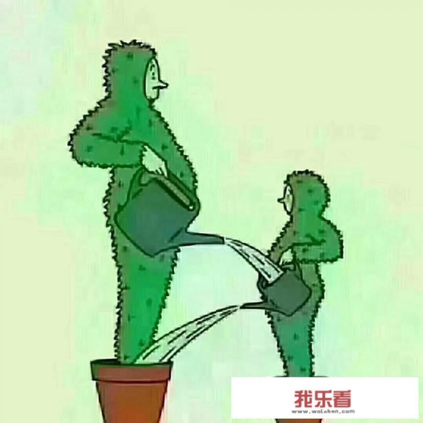 人性图片为什么很扎心