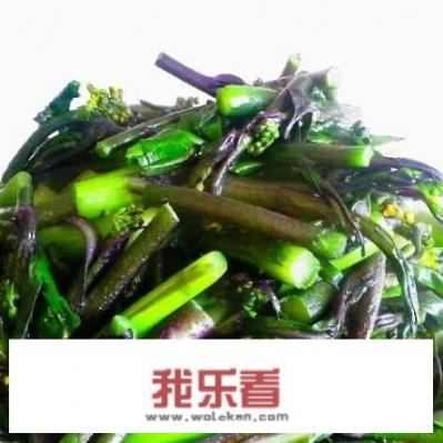 红菜苔是湖北特产吗，怎么做好吃