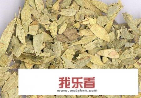 长期食用植物提取物真的可以帮助减肥吗？