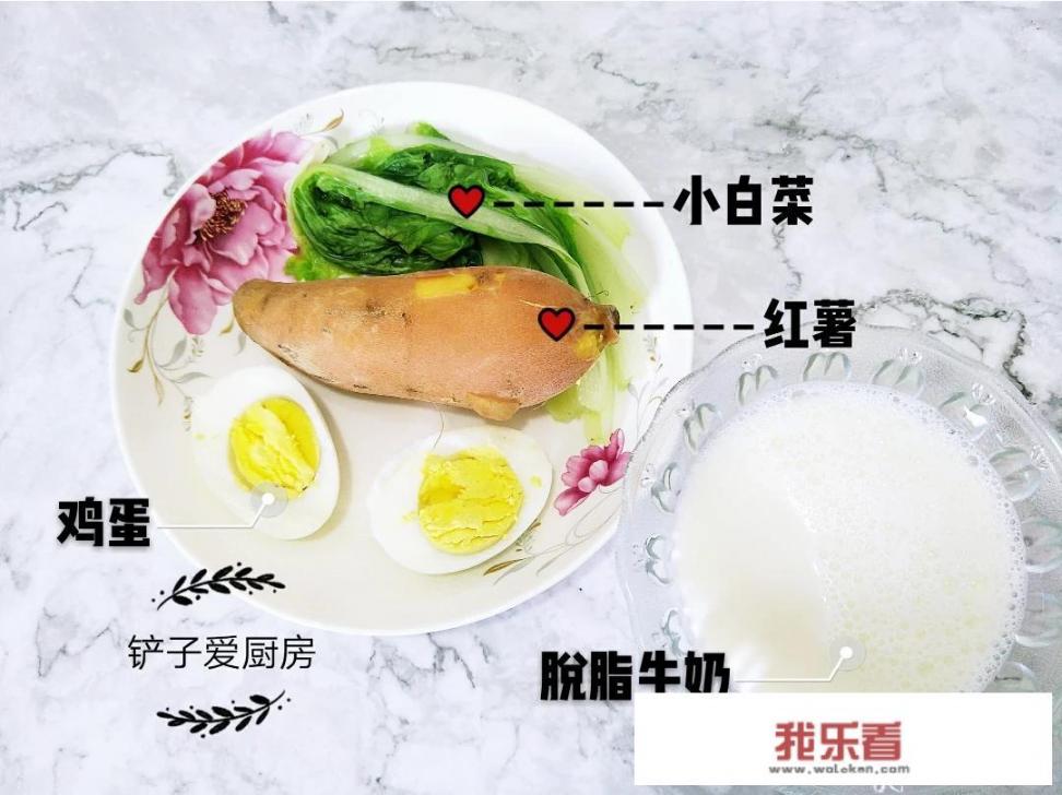 南方小学生早餐食谱大全及做法