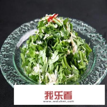 活捉香菜怎么做比较好