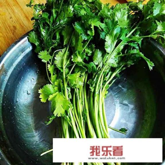 活捉香菜怎么做比较好