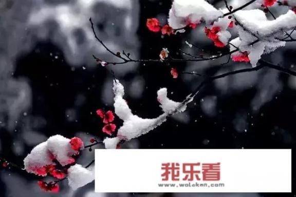 “旧年雨水”和“梅花上雪水”，为何黛玉喝不出来？