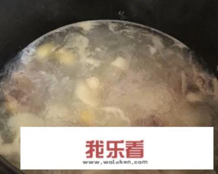 牛尾汤怎么炖好喝又营养？