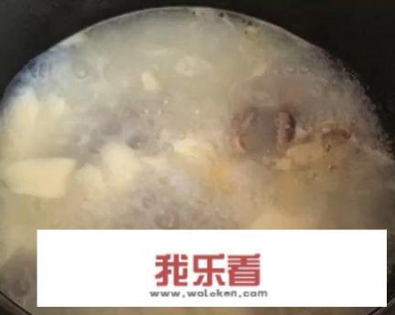 牛尾汤怎么炖好喝又营养？