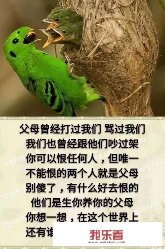 快手情感语录怎么变现？