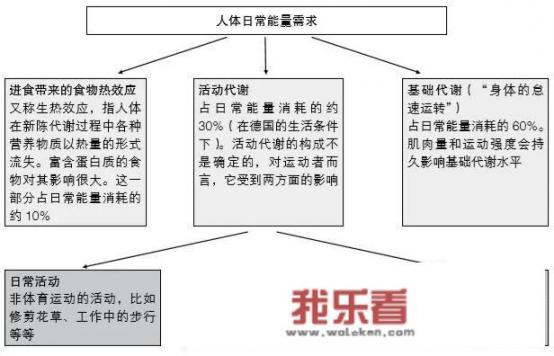 减脂期间，每天摄入多少千卡的热量比较合理？