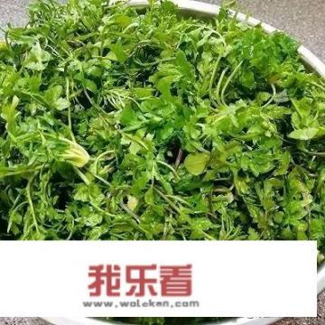 三月三荠菜煮鸡蛋什么时间吃最好？