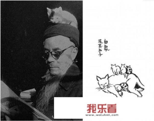 一只猫能可爱到什么程度？