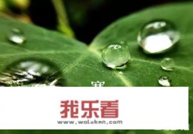 10月8日，就是“寒露”节气了，饮食上吃点啥好？又该如何养生？