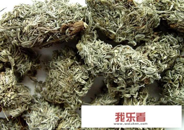 茵陈泡水喝能保护肝脏吗？