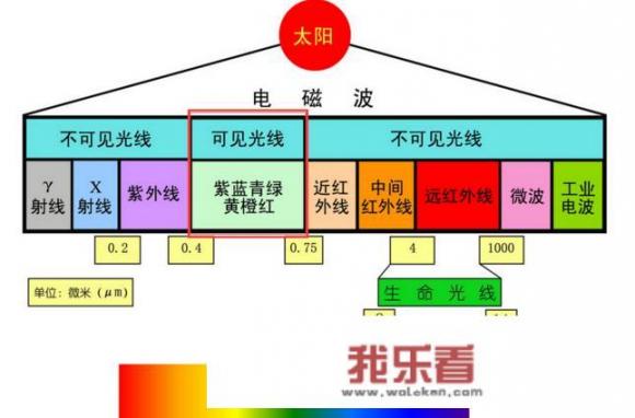 动物是不是能看到人看不见的东西？