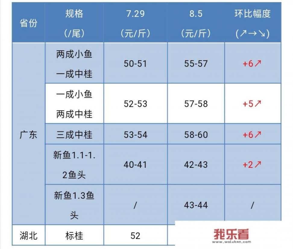 鳜鱼价格高达60元/斤，为什么今年鳜鱼如此之贵？