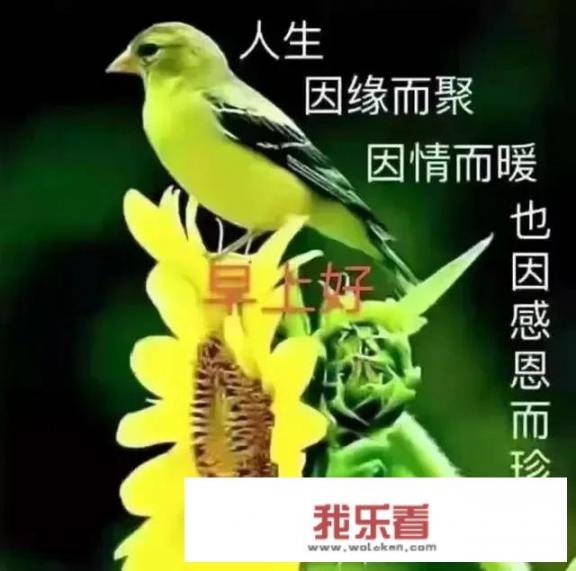 适合朋友间的早安问候语可以分享一下吗？