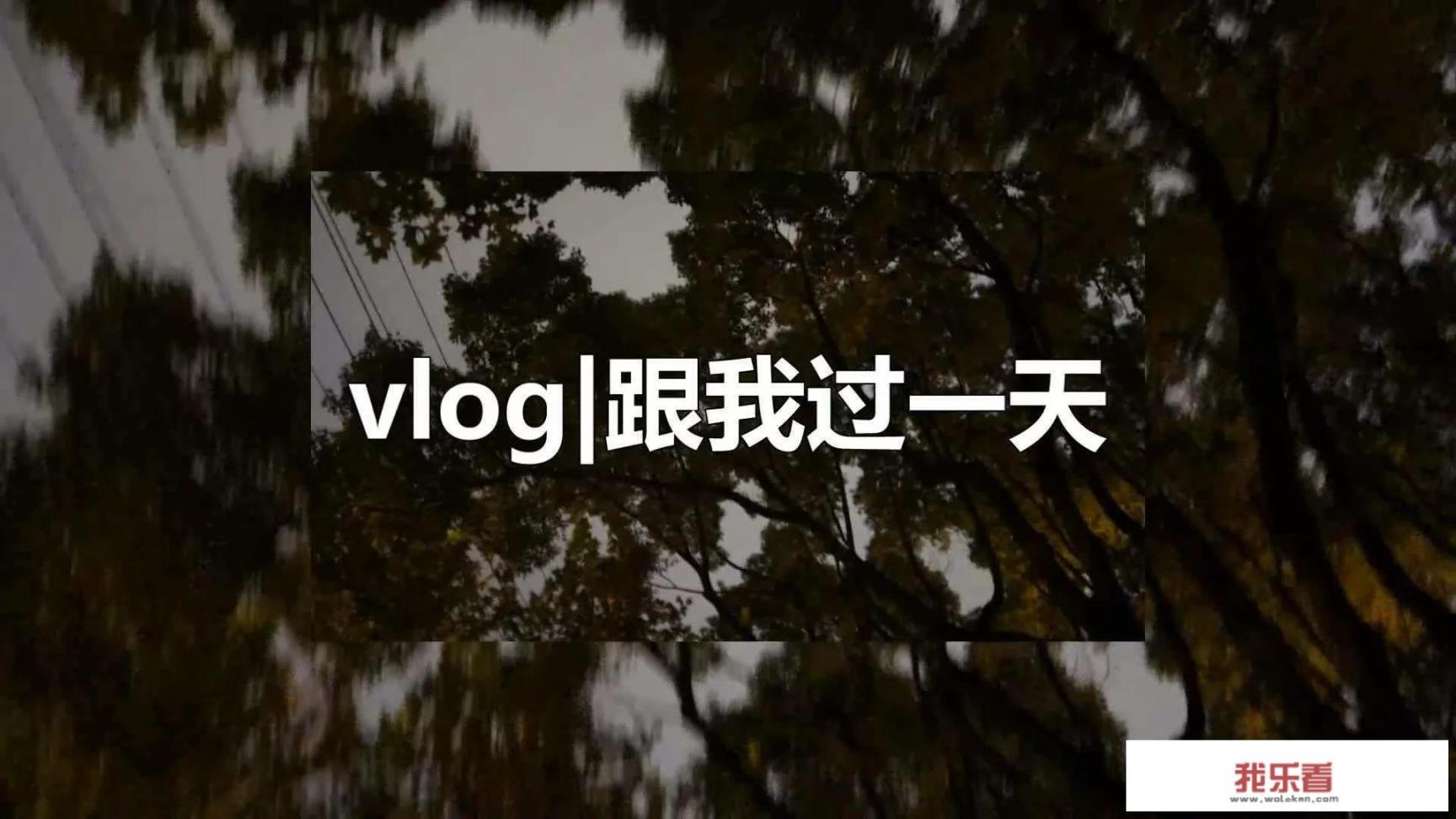 vlog制作有几种？