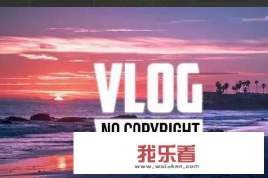 vlog什么意思？