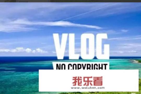 vlog什么意思？