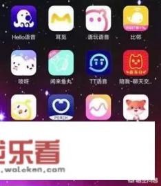 重创之后，声音社交还有未来吗？