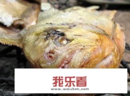 这个世界上有没有真的“食人鱼”？