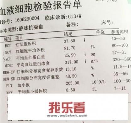 贫血如何自我调理？