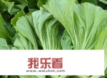 自家种的盖菜长虫怎么办？