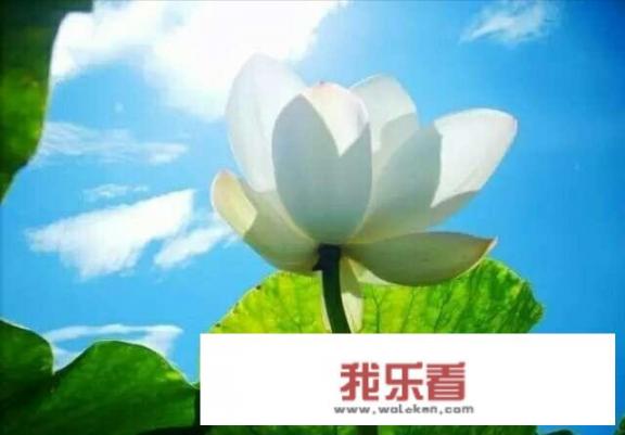 怎样能够培养自己的兴趣爱好？