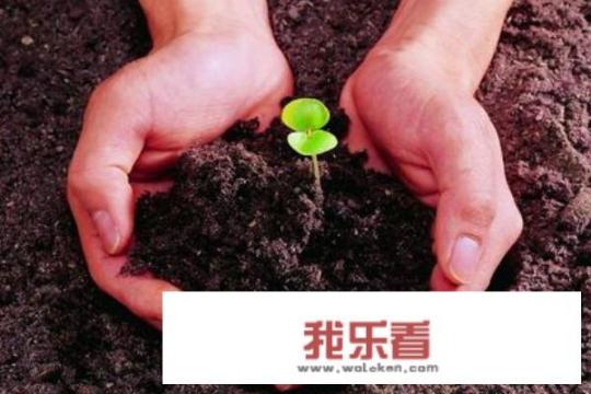 关于热爱生命的60则名人名言，你知道多少？