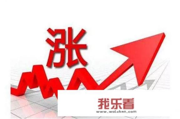 2021年年底淘汰鸡价格能涨吗？