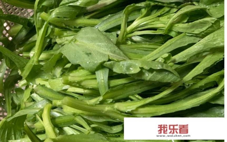 茼蒿现在种植还来得及吗？怎么种？