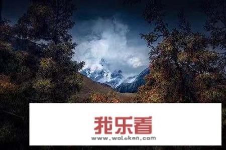 夏天有什么美丽的景色？