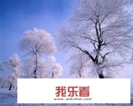 如何用单反相机拍好雪景？