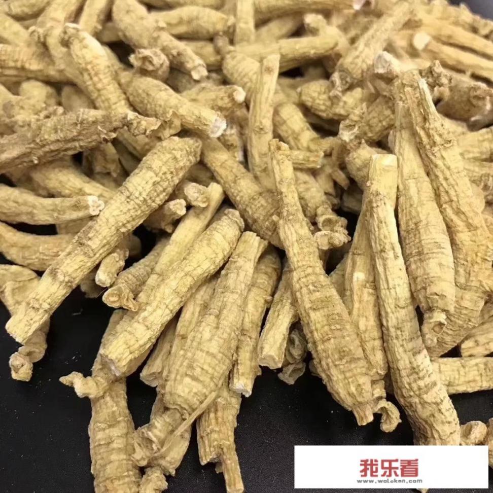 西洋参的功效与作用，如何食用治病？