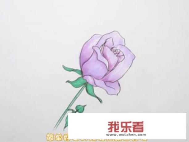 玫瑰花简笔画怎么画？