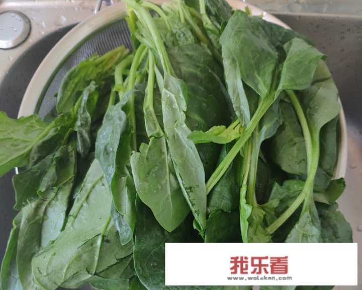 菠菜炖豆腐的做法？