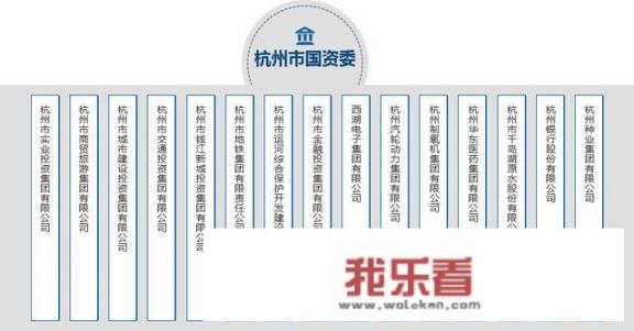 国家电投与南方电网：如何选择？