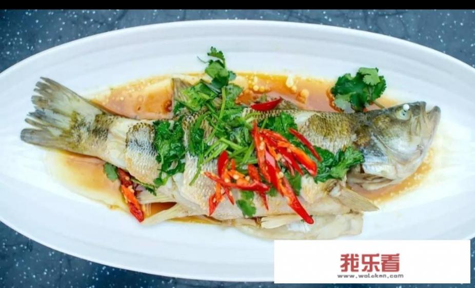 有什么好吃的流食？