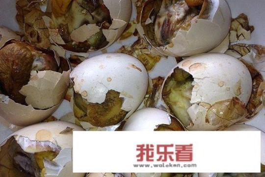 探索云南昆虫美食文化