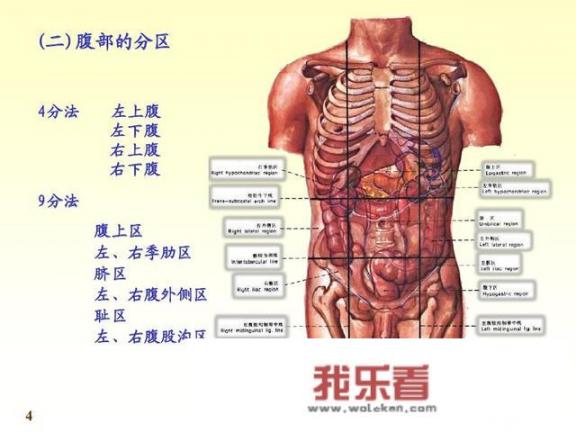 小蛮幺减肥怎么样？