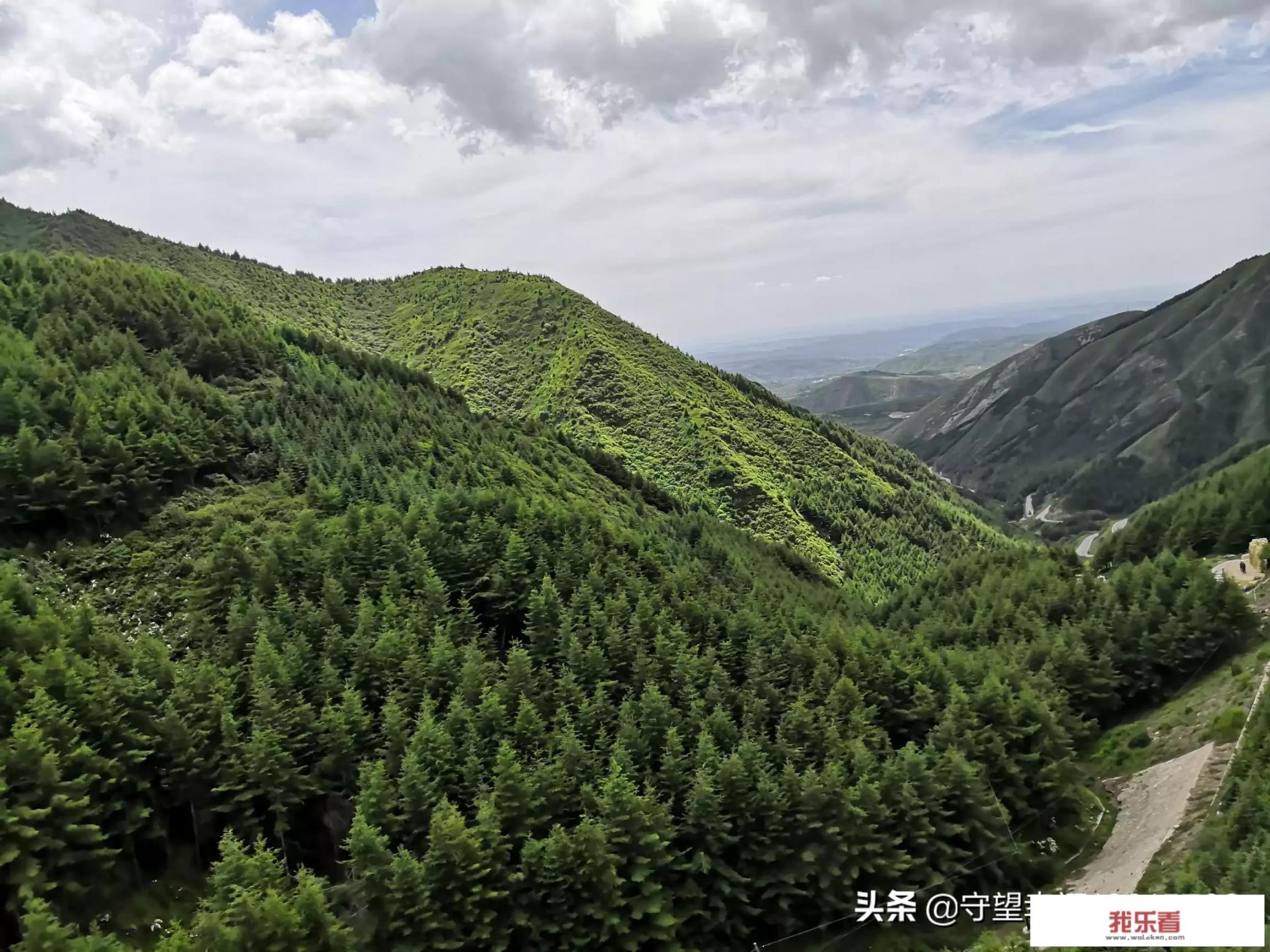 这个夏天，你都去过了哪些网红打卡地？