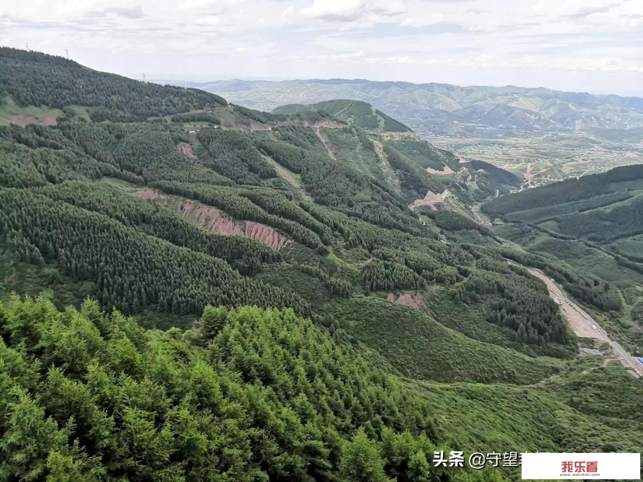 这个夏天，你都去过了哪些网红打卡地？