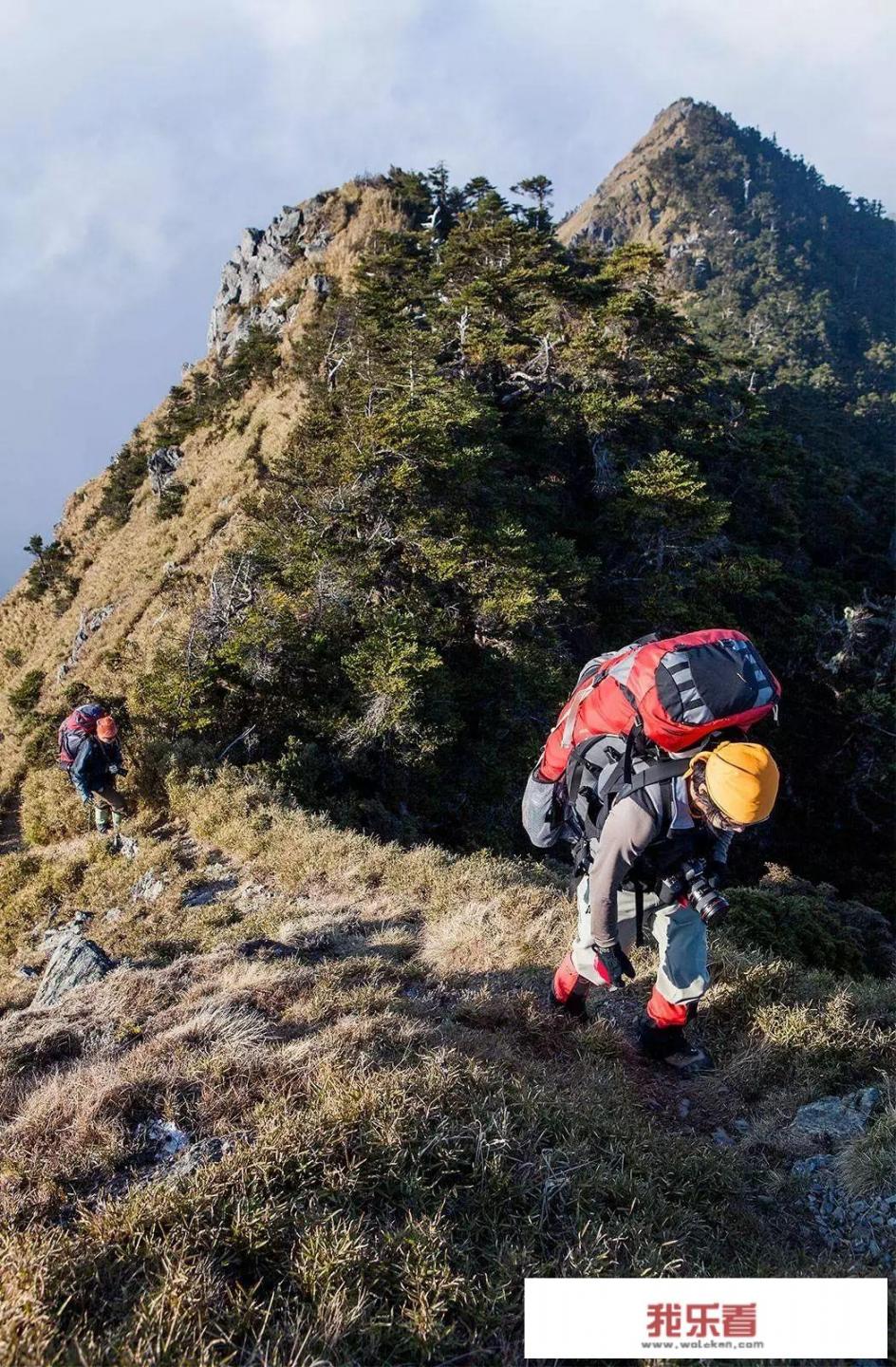 动森登山车能骑吗？