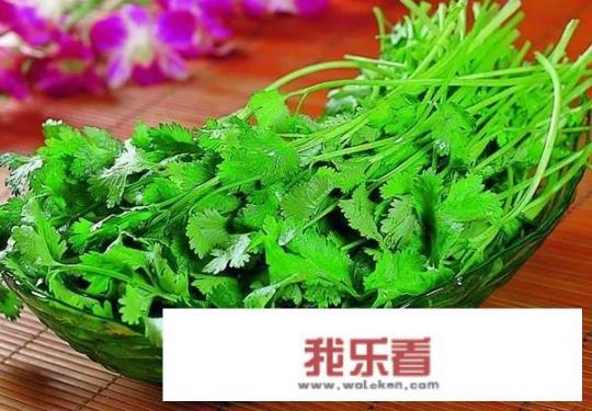 香菜煮水可以退烧吗？