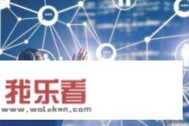 网络科技公司经营多领域展示