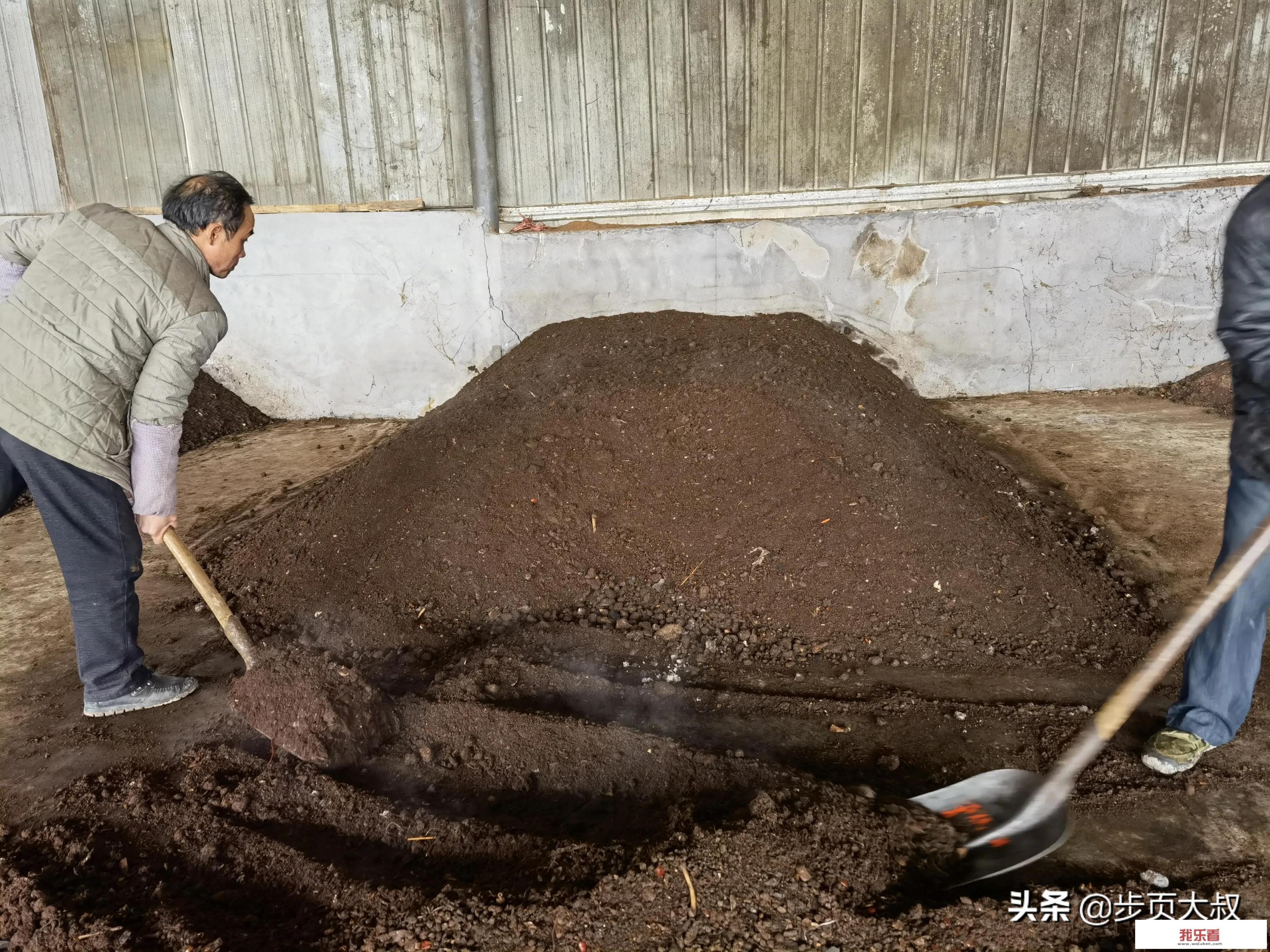 株洲百货大楼春节营业时间？