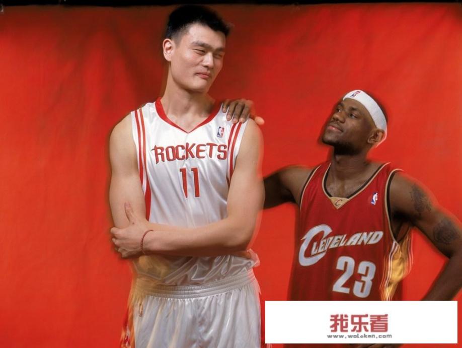 字母哥和东契奇在NBA的表现