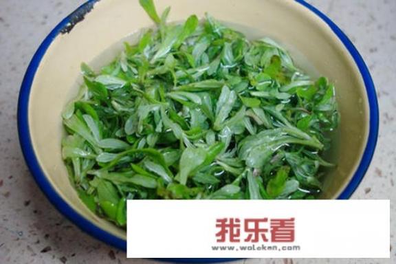 美食做法家常菜？