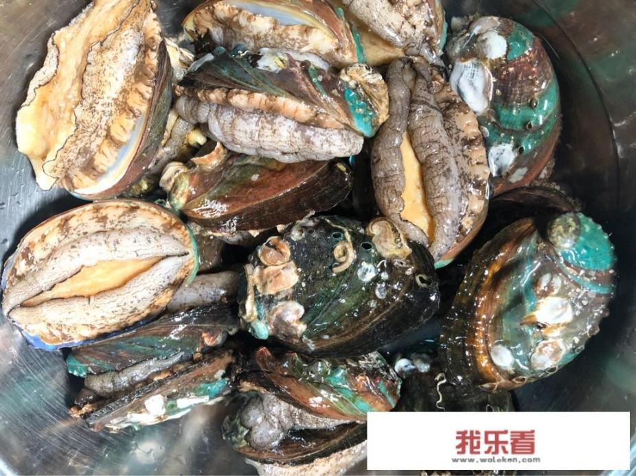 大家怎样看待大胃王密子君催吐证据？