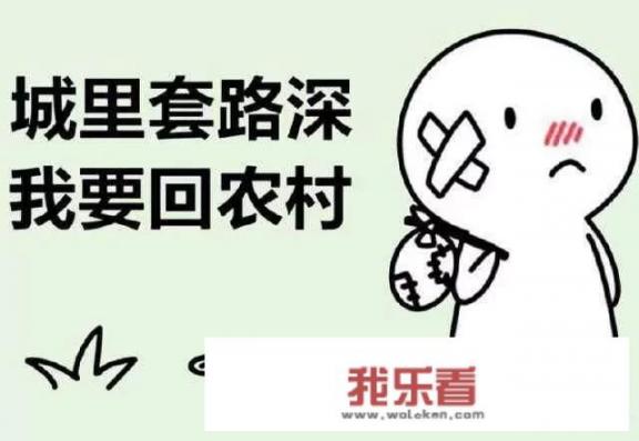 杨光的快乐生活碰瓷记哪集？