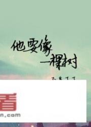 让你泪目的小说有哪些？