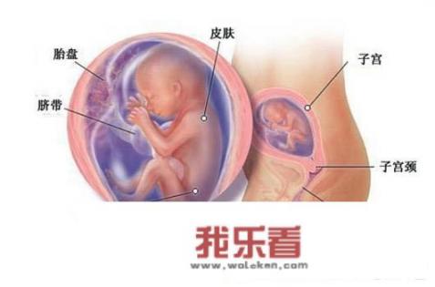 怀孕多久能检查出宫内还是宫外孕？